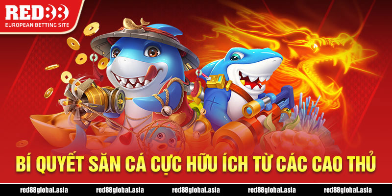 Bí quyết săn cá cực hữu ích từ các cao thủ